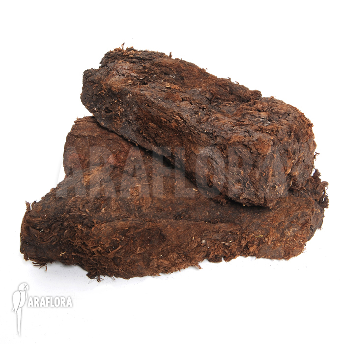 Peat brick solid
