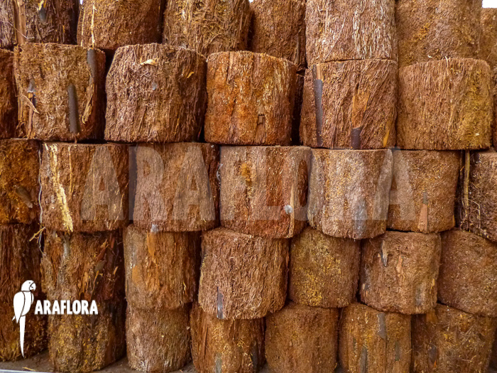 Tree fern pot xaxim &lsquo;S&rsquo;