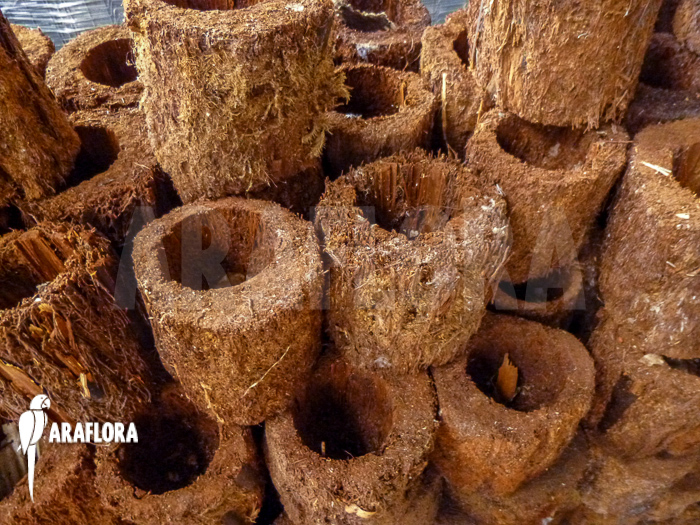 Tree fern pot xaxim &lsquo;S&rsquo;