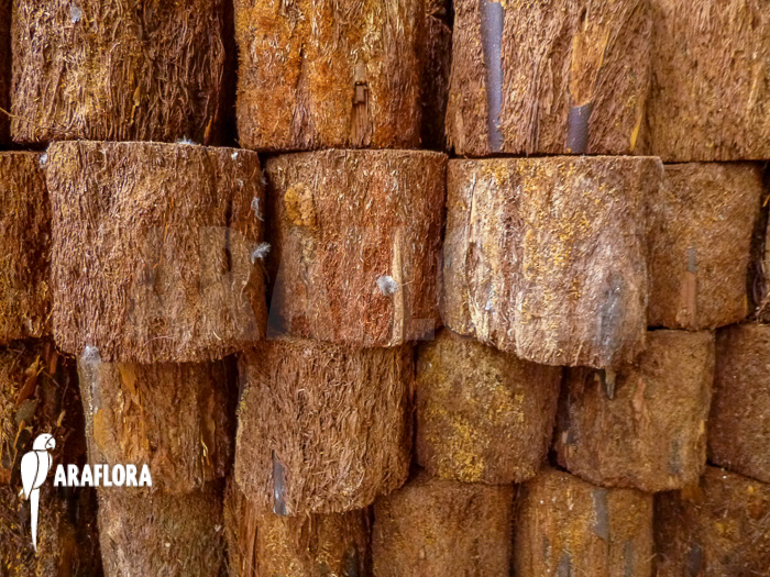 Tree fern pot xaxim &lsquo;S&rsquo;