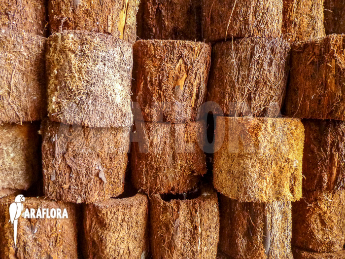 Tree fern pot xaxim &lsquo;S&rsquo;